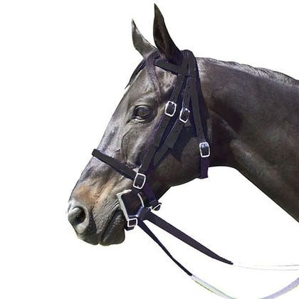 Intrepid Nylon Racing Bridle