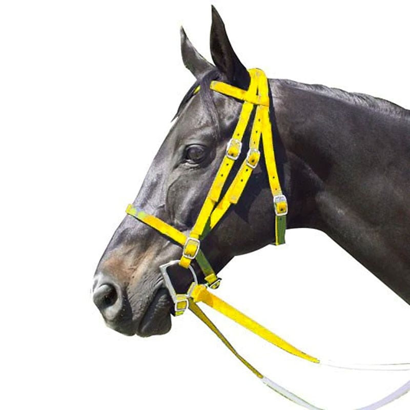 Intrepid Nylon Racing Bridle