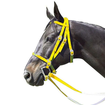 Intrepid Nylon Racing Bridle