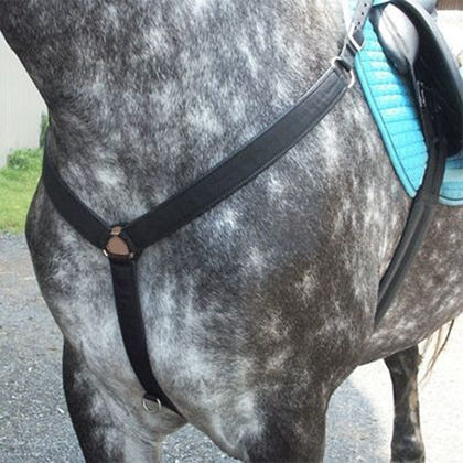 Intrepid Nylon Western Breastplate