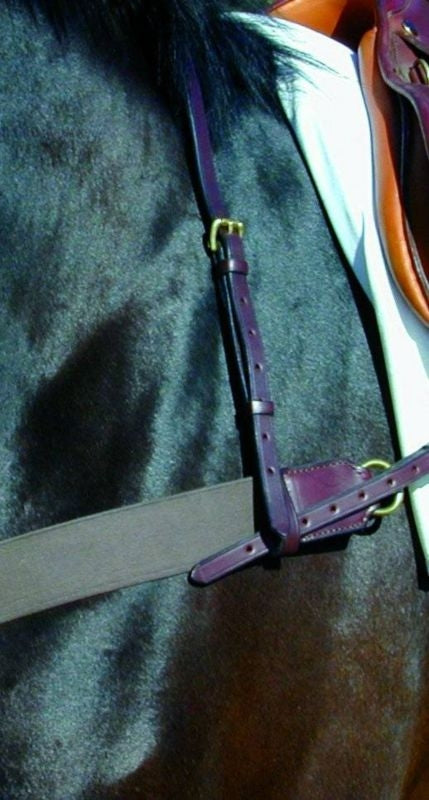 Pro-Trainer 24K Neck Strap