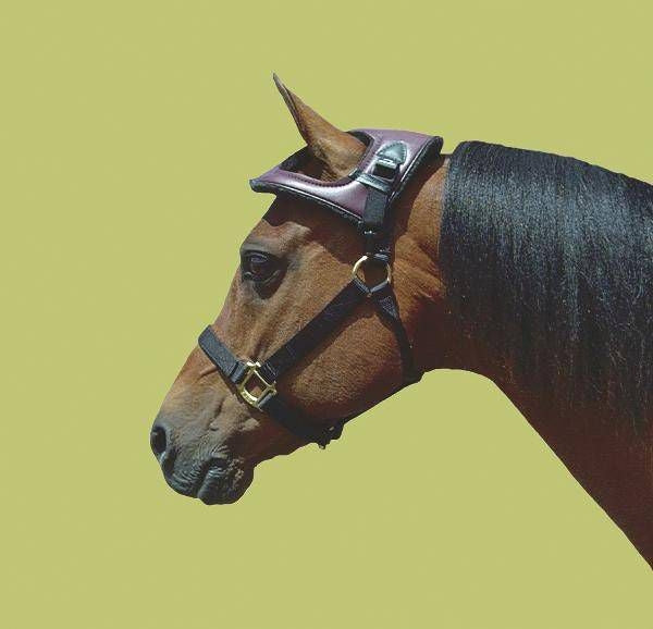 Cashel Horse Helmet