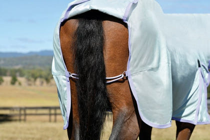 Saxon Mesh Combo Neck Fly Sheet