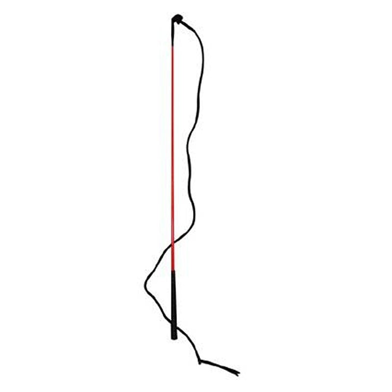 Training Stick Org