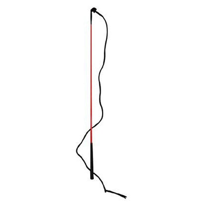 Training Stick Org