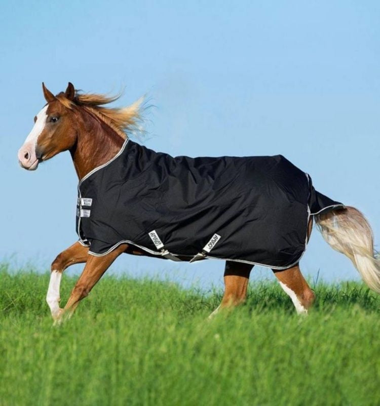 Amigo Stock Horse Plus TO 200g