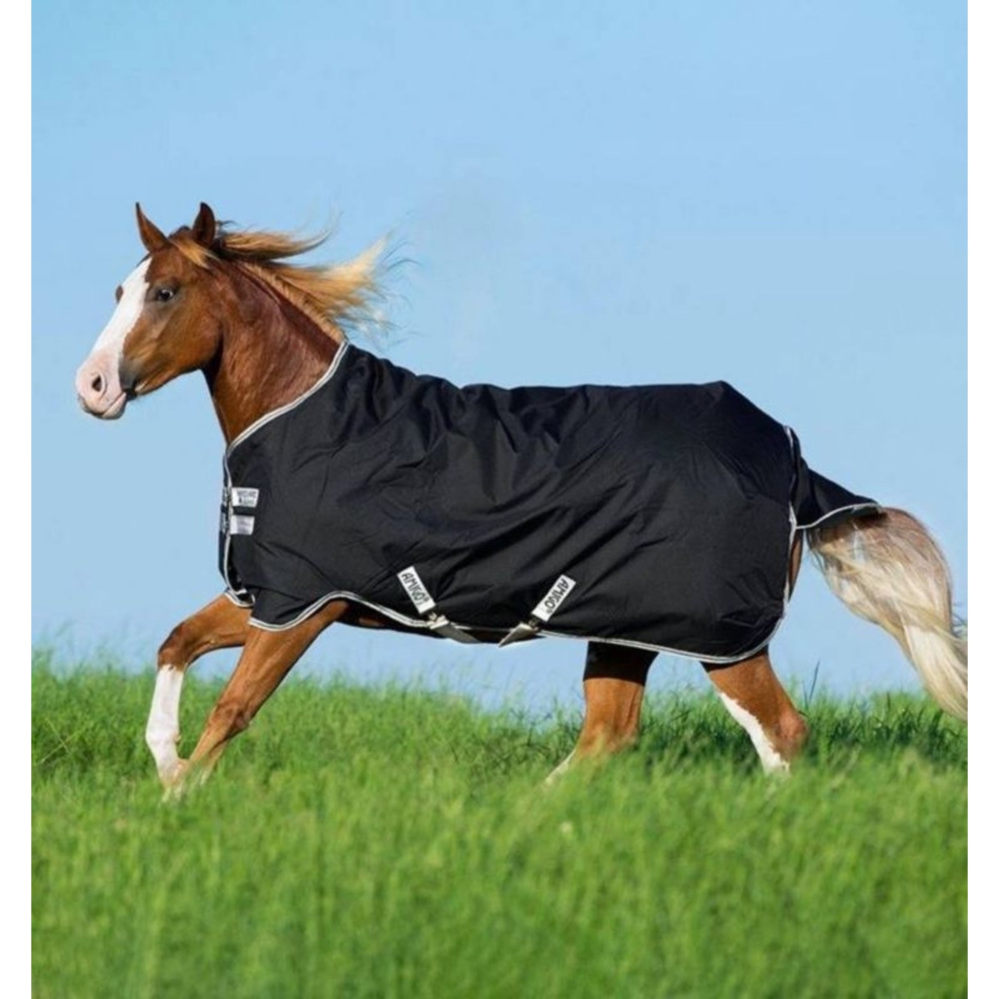 Amigo Stock Horse Plus TO 200g