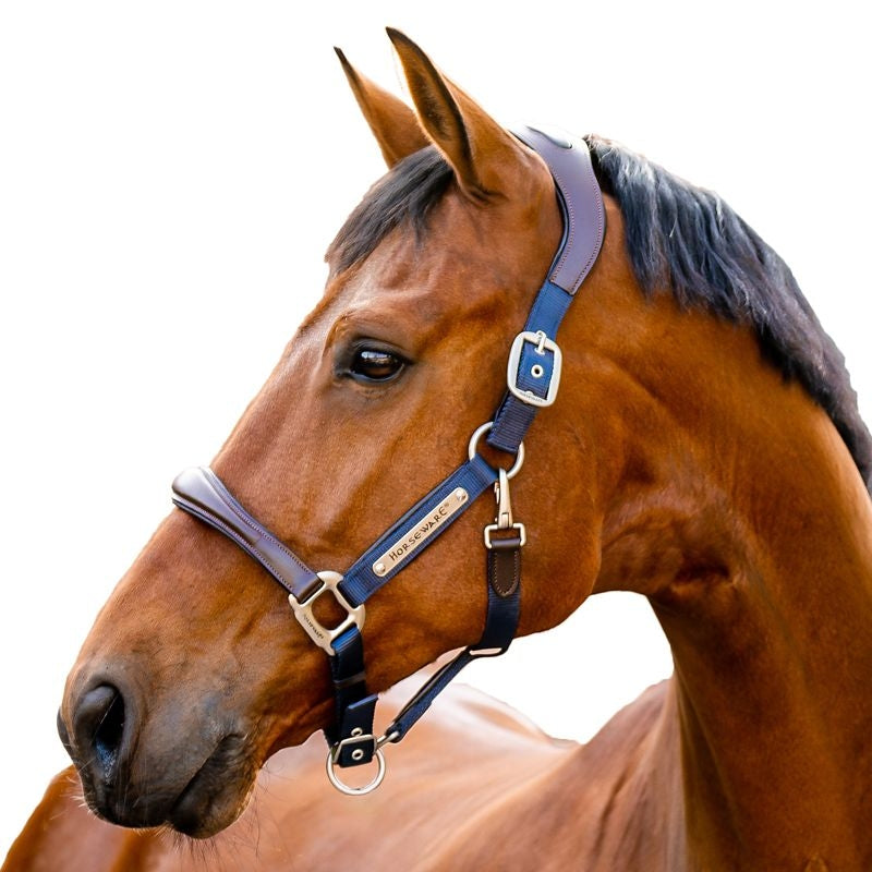 Horseware Sig Comp Halter