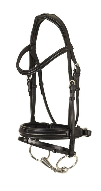 Ovation Dortmund Dressage Bridle