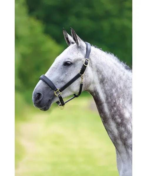 Shires Travel Headcollar
