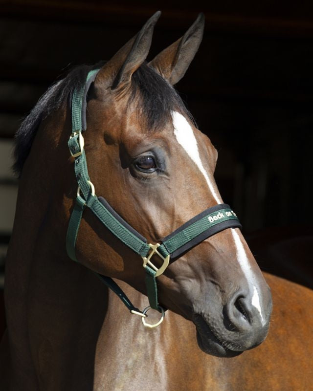 Back on Track Werano Halter