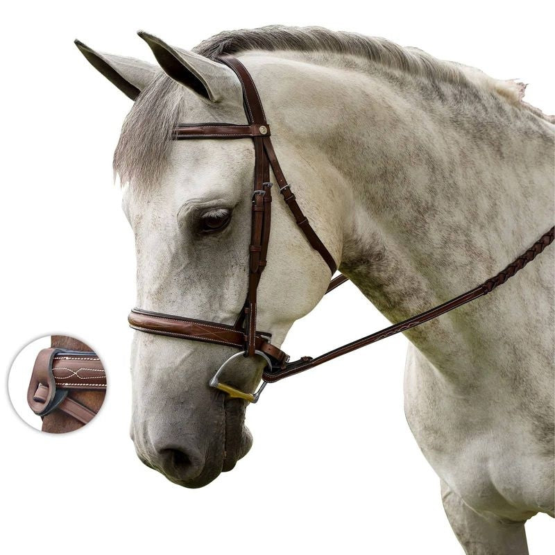 M. Toulouse Liza Hunter Bridle