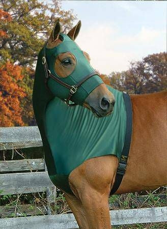 Flex Rider Stretchies Hood