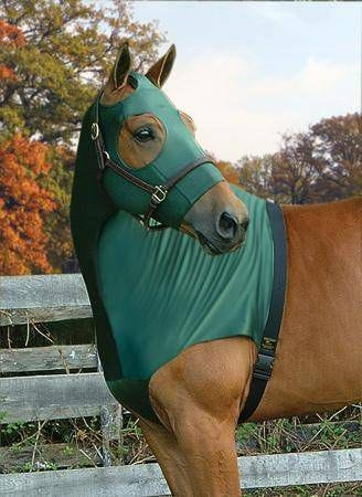 Flex Rider Stretchies Hood