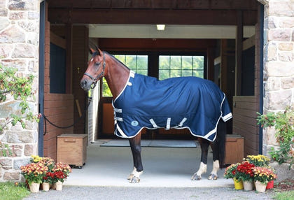 Centaur TG2 Horse Blanket