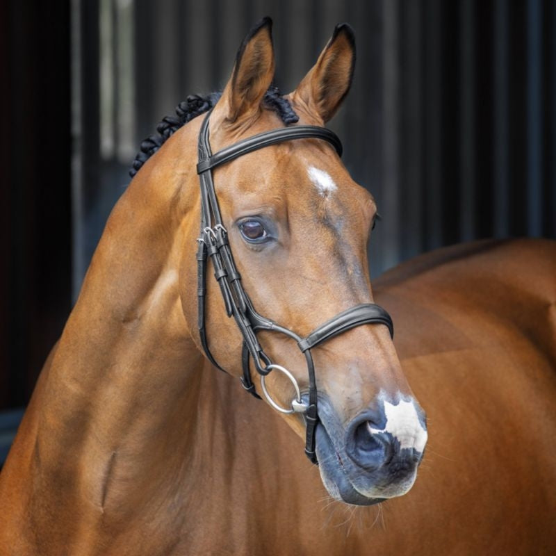 Shires Velociti Rolled Padded Cavesson Bridle