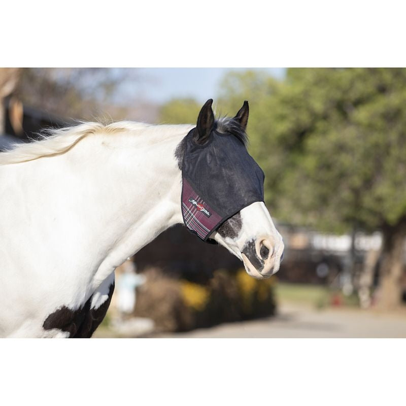 Kensington UV CatchMask Web Trim