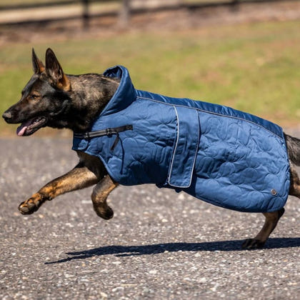 Back on Track Deep Nights Dog Coat