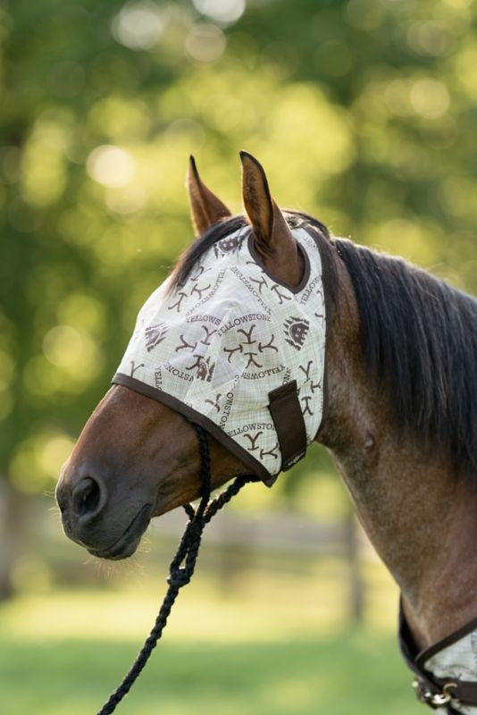 Yellowstone Fly Mask w.Web