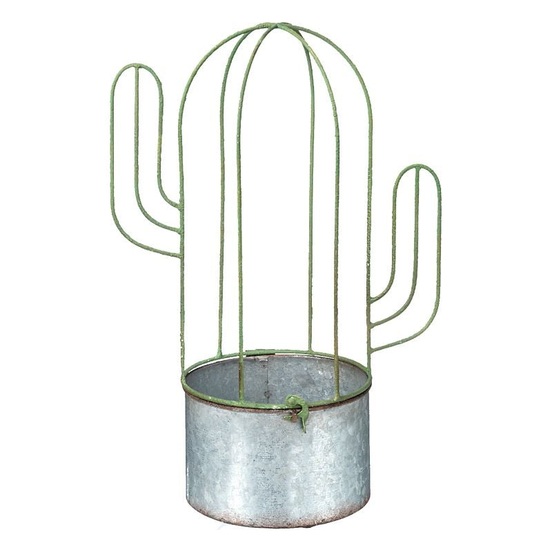 Planter Cactus