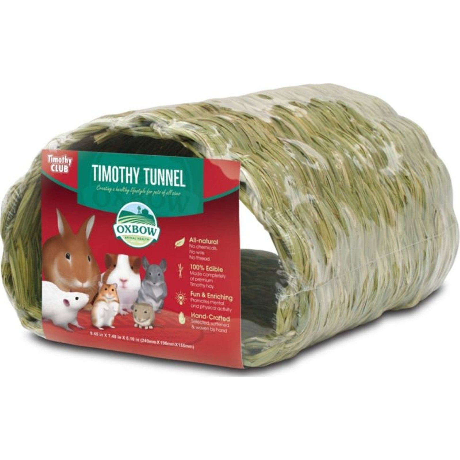 Timothy Tunnel