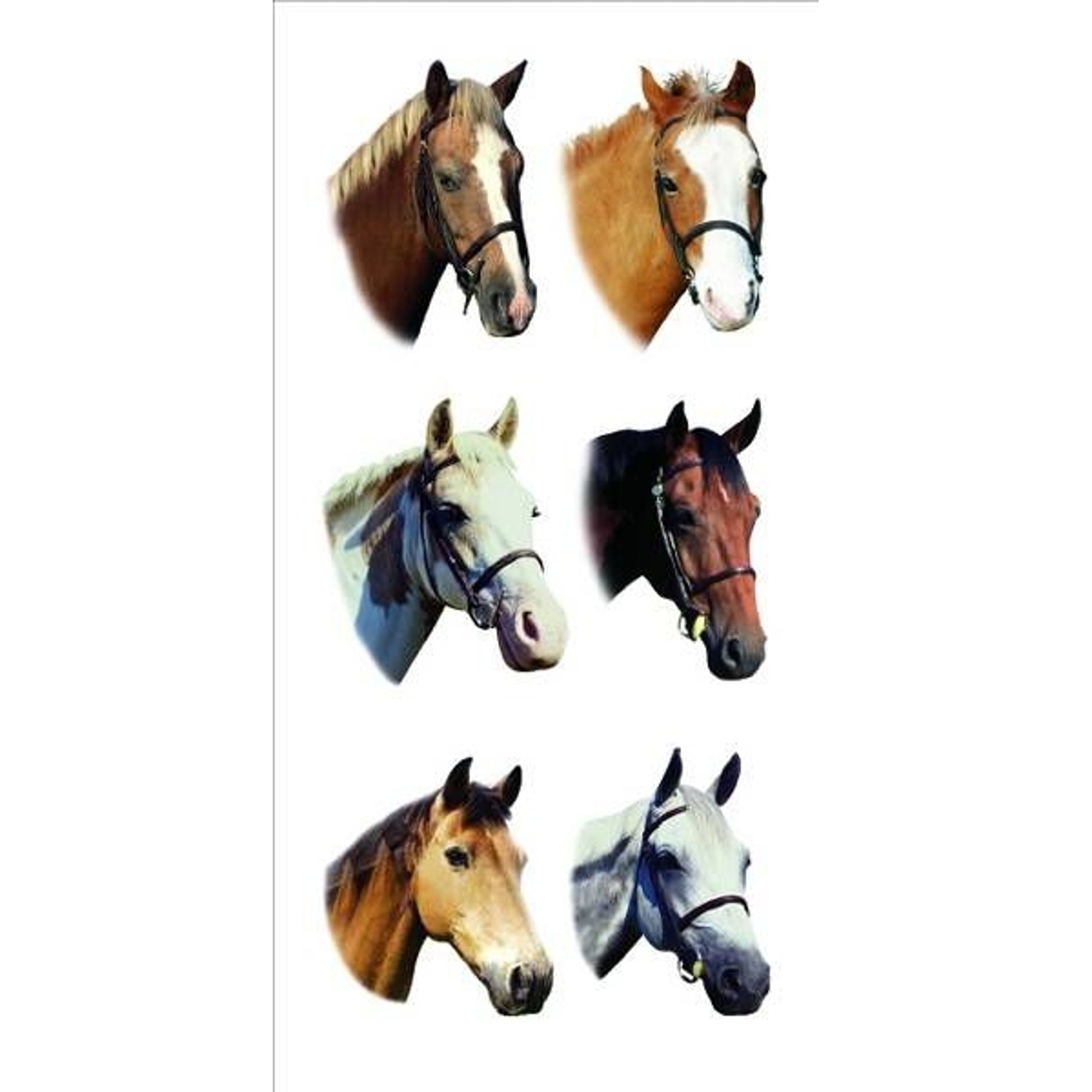 Horses 2X4 Stickers