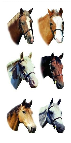 Horses 2X4 Stickers