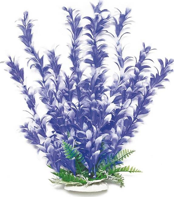 Aquatop Bacopa Aquarium Plant Blue/White 16In