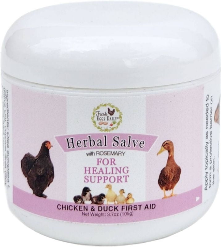 Fresh Daily Eggs Herbal Salvey 3.7 Oz