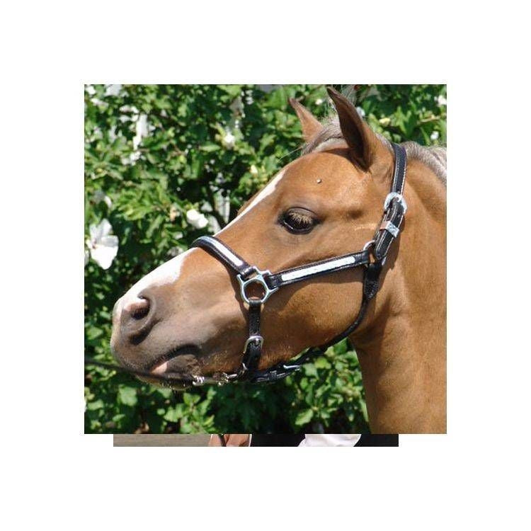 Ozark Prem Silver Perform Mini/Pony Halter