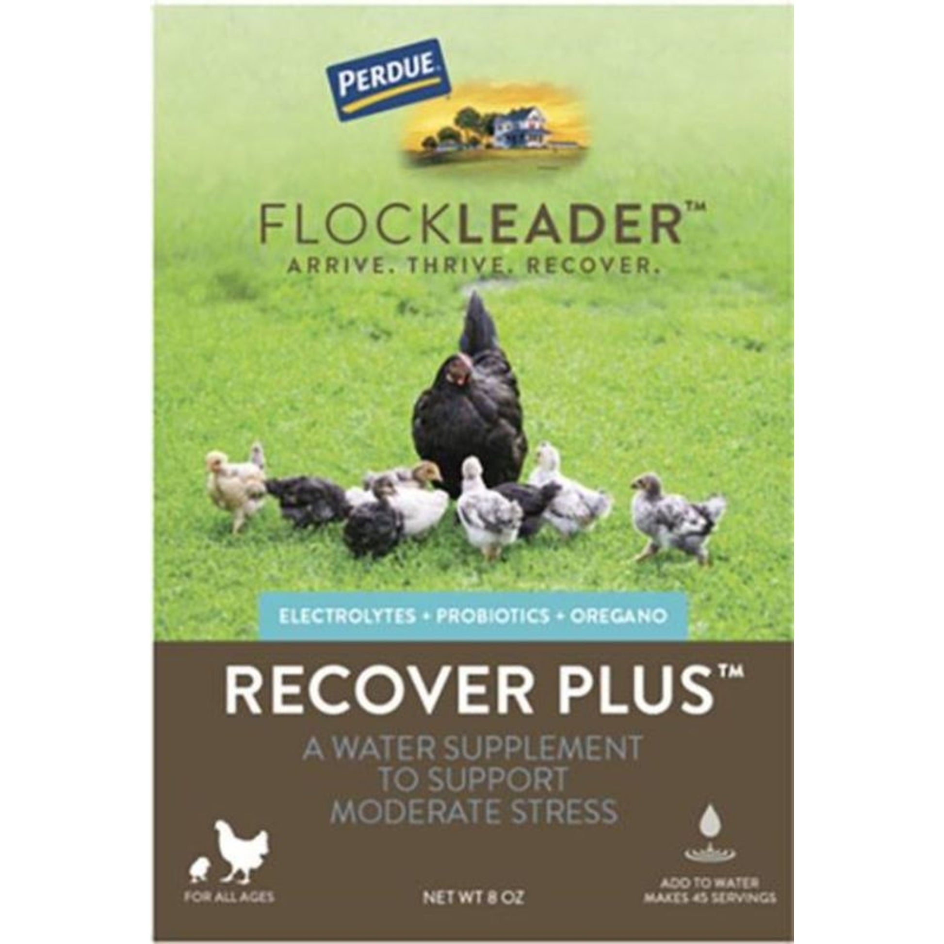 Perdue Flockleader Recover Plus Poultry Powder 8oz