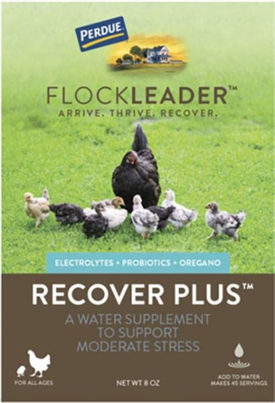 Perdue Flockleader Recover Plus Poultry Powder 8oz