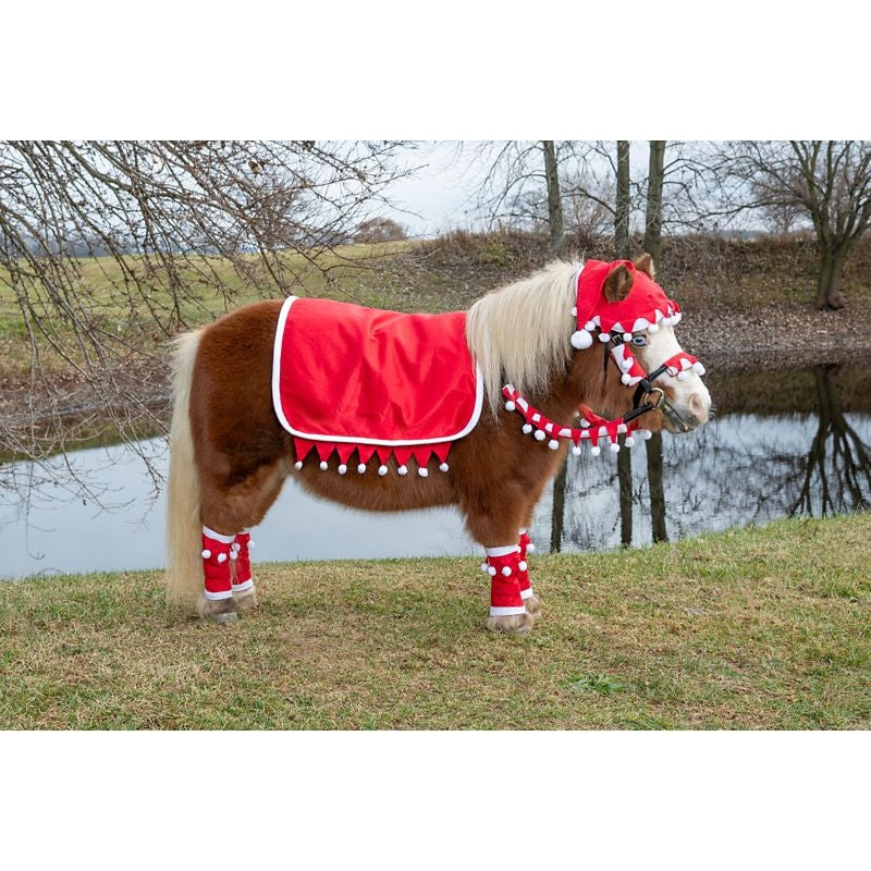 Tough1 Mini 5 Piece English Santa Set
