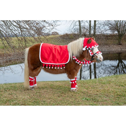 Tough1 Mini 5 Piece English Santa Set