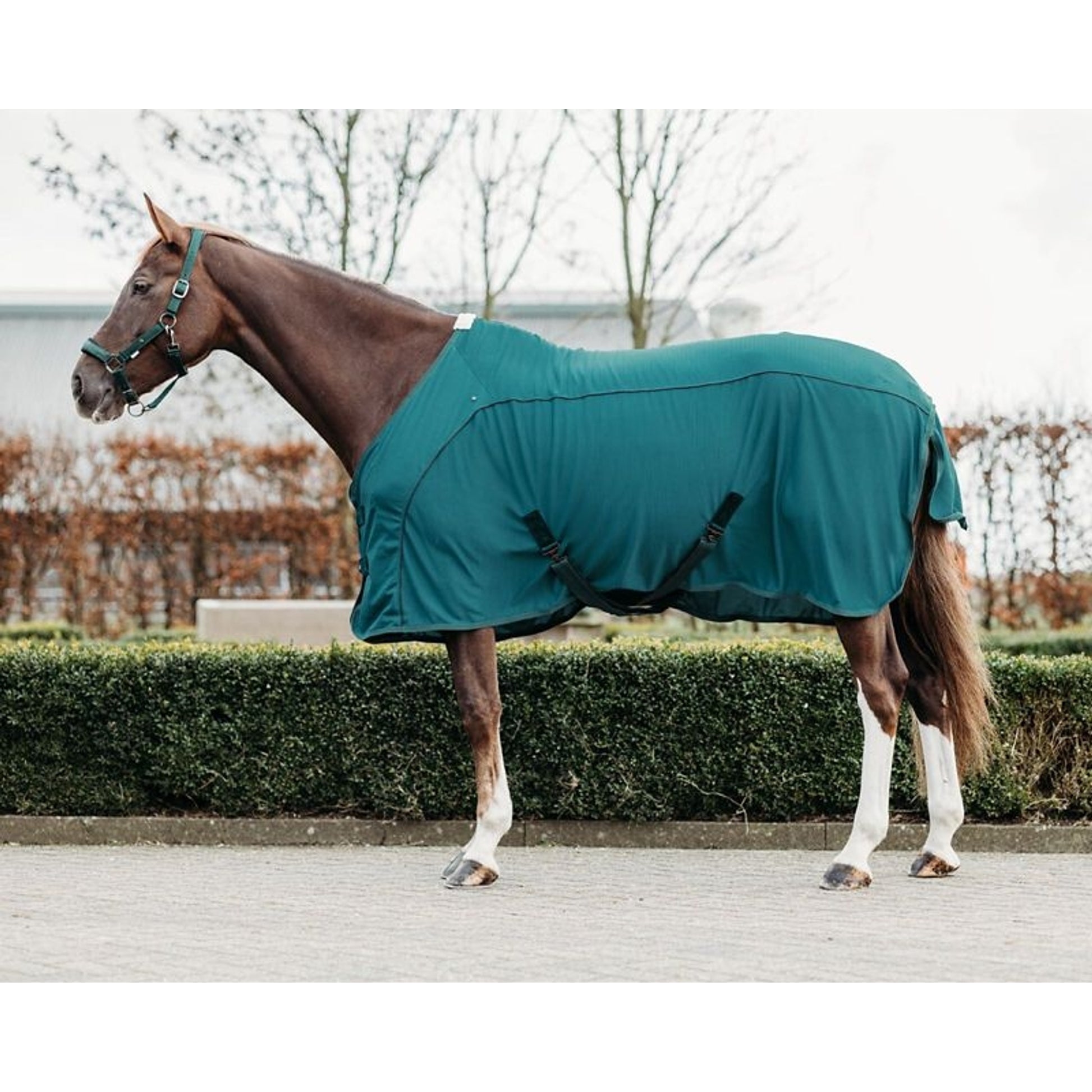 QHP Astana Coolmesh Blanket