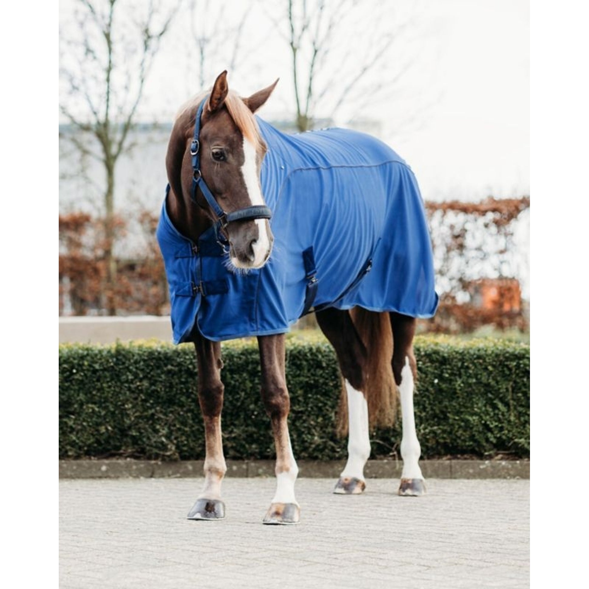 QHP Astana Coolmesh Blanket