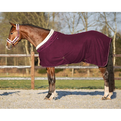 QHP Menton Show Rug