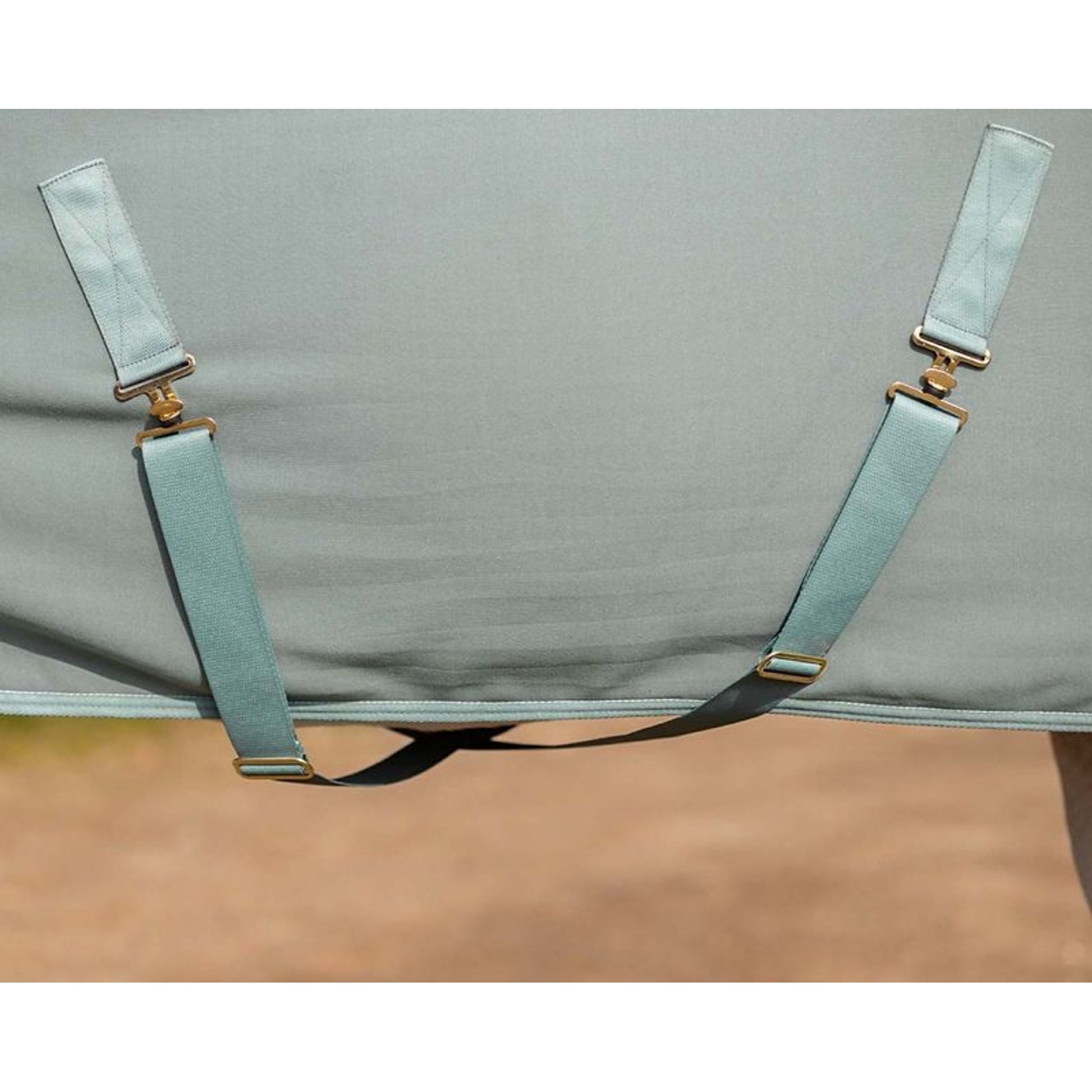 QHP Equestrian Dream Show Rug