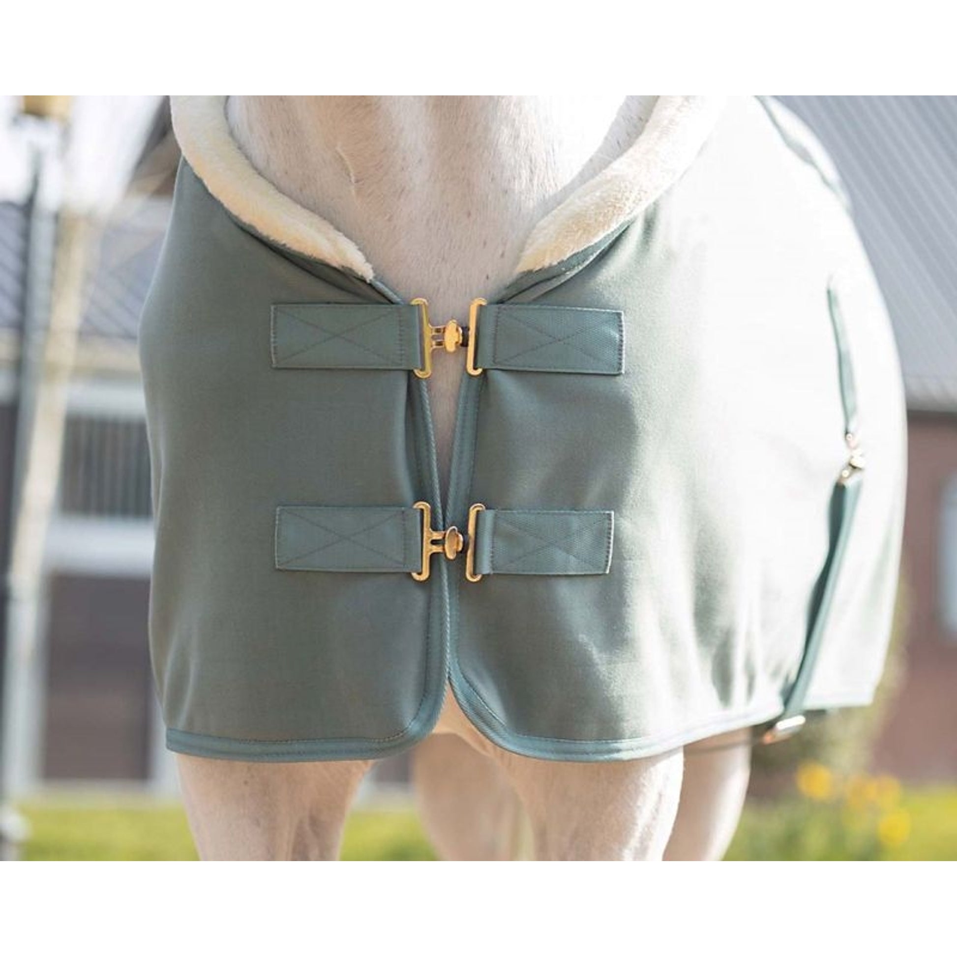QHP Equestrian Dream Show Rug