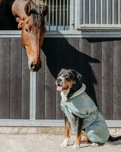 QHP Equestrian Dream Dog Rug