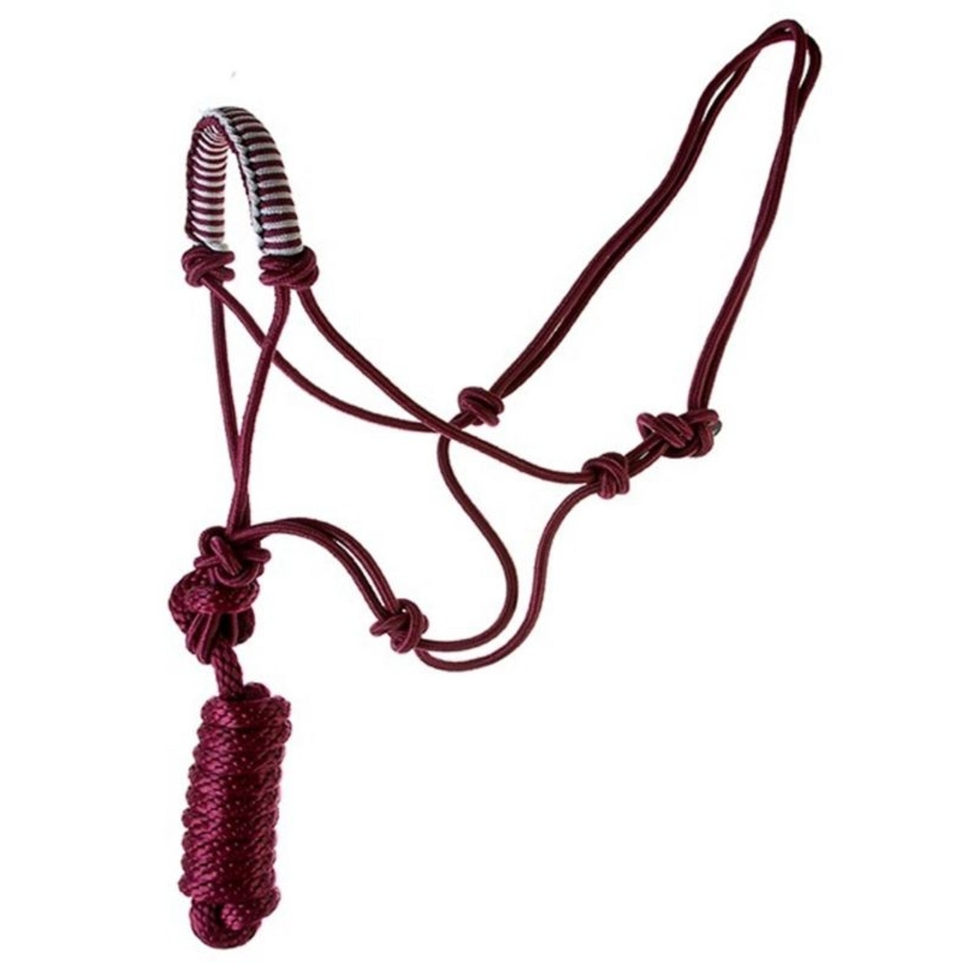 Pony Noseband Rope Halter 7ft Lead