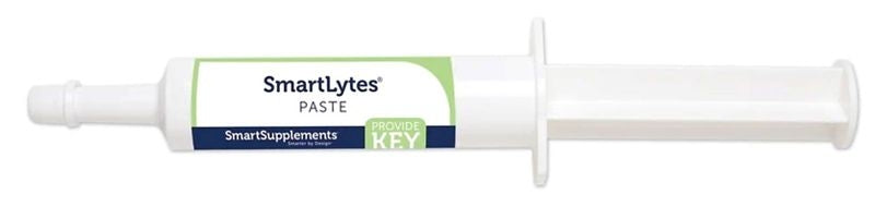 SmartEquine SmartLytes Paste Single Tube