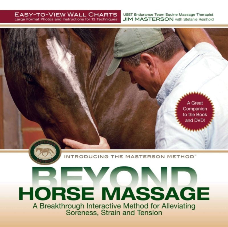 Beyond Horse Massage Wall Chart 26 Pages
