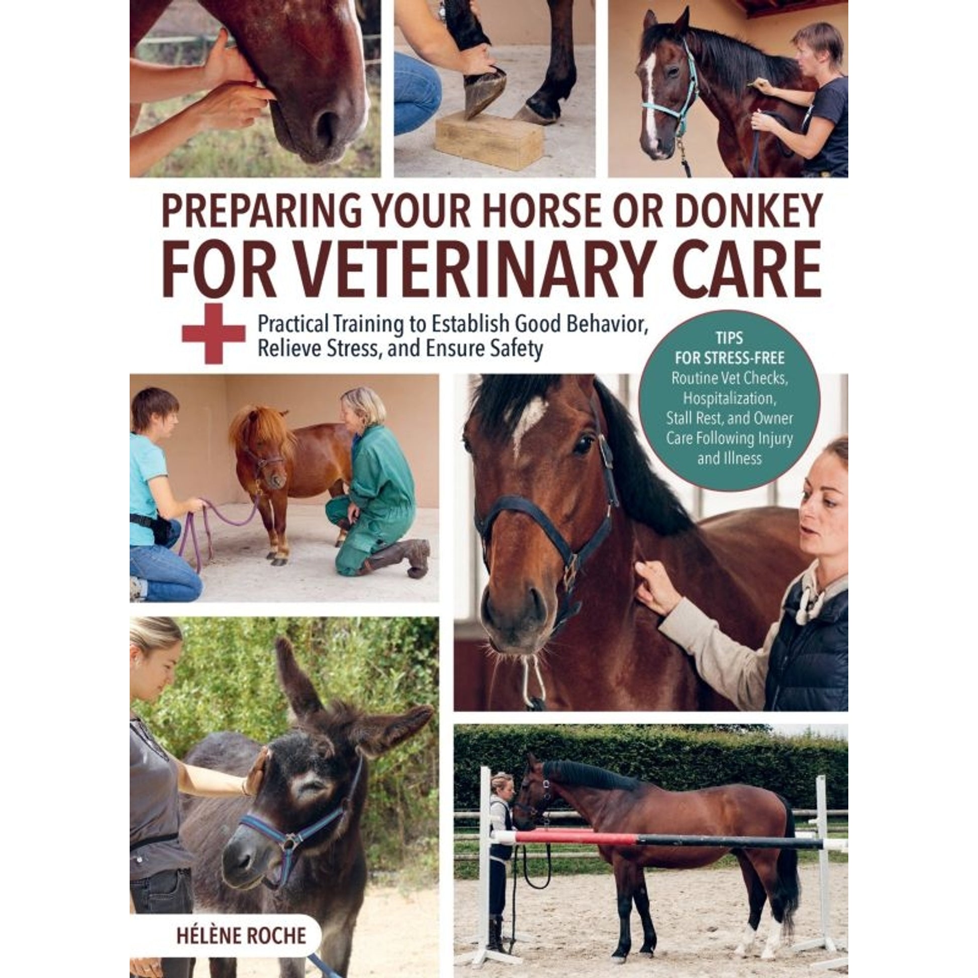 Preparing Your Horse or Donkey for Veterinary Care