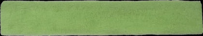 Mustang Princess Fleece Cinch Cover