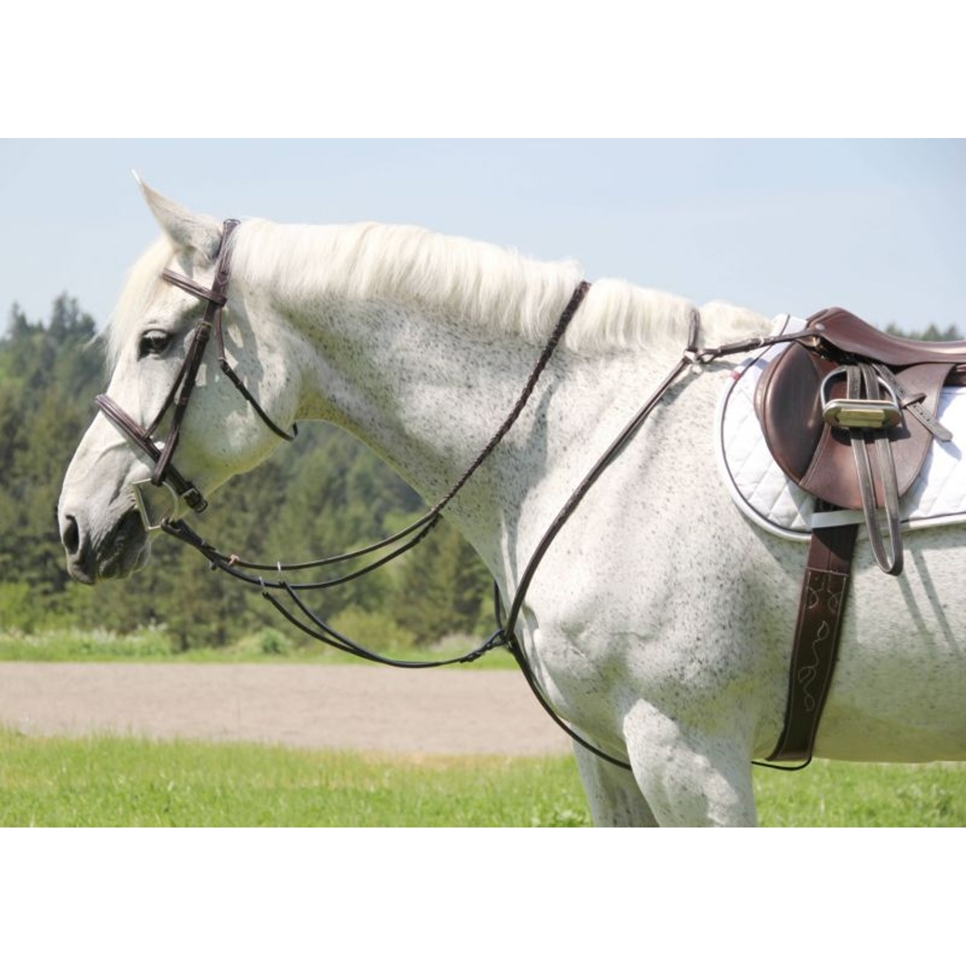 Silverleaf Plain Breastplate With Running