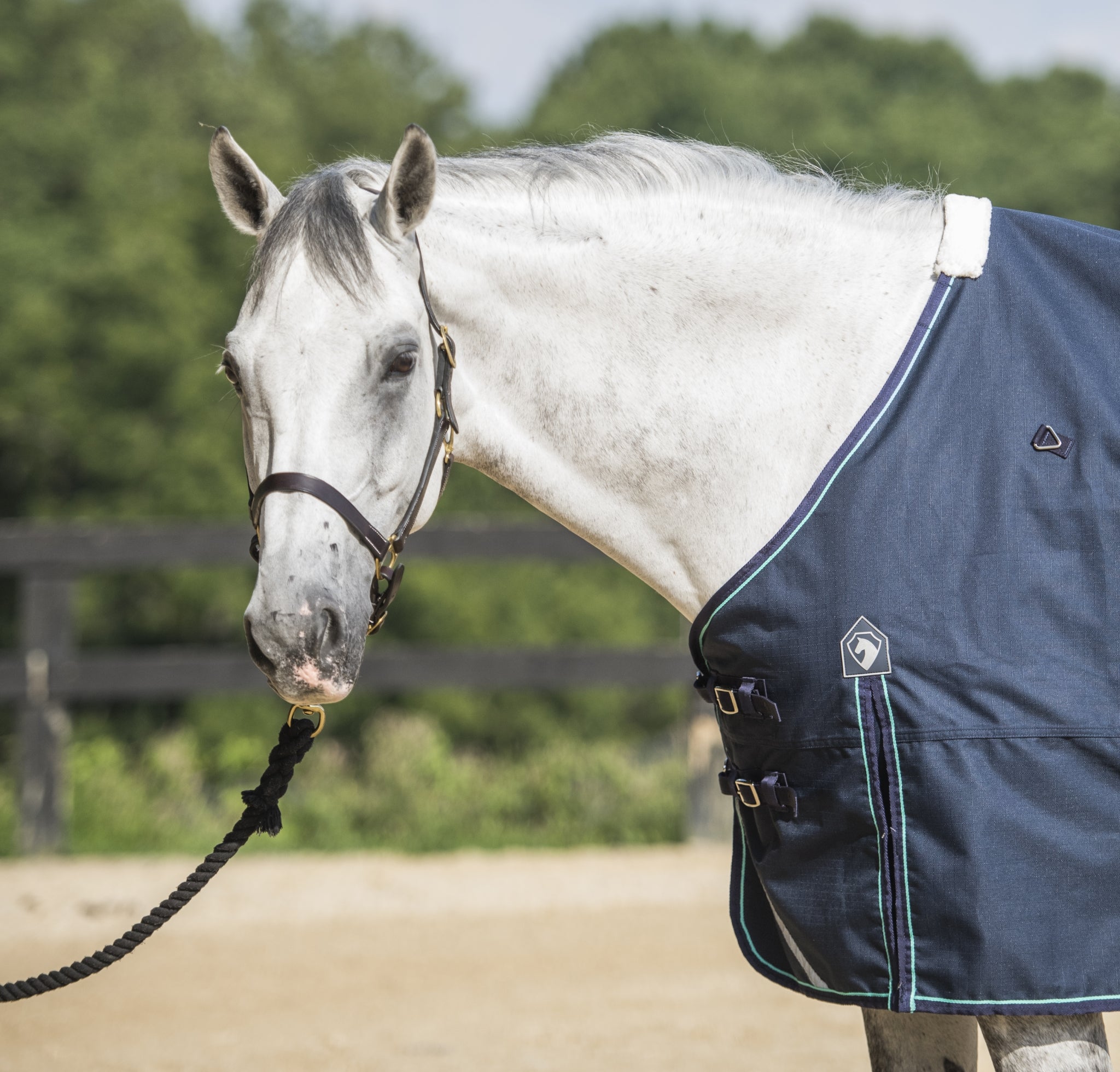 Defender Platinum 1200D Turnout Sheet