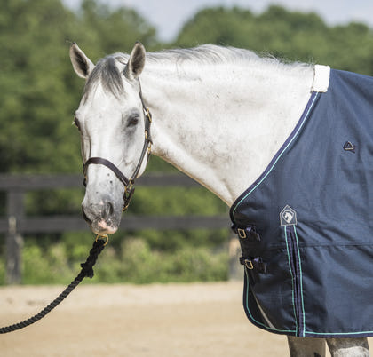 Defender Platinum 1200D Turnout Sheet