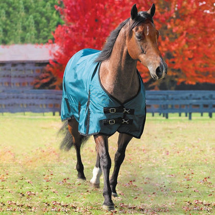 Gatsby Premium 1680D 250g Waterproof Turnout Blanket