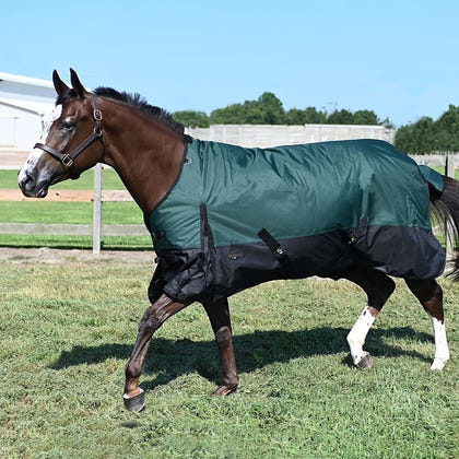 Tabelo Waterproof 600D T/O Blanket
